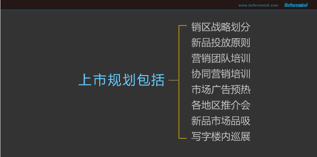 都宝 风之力 09年营销