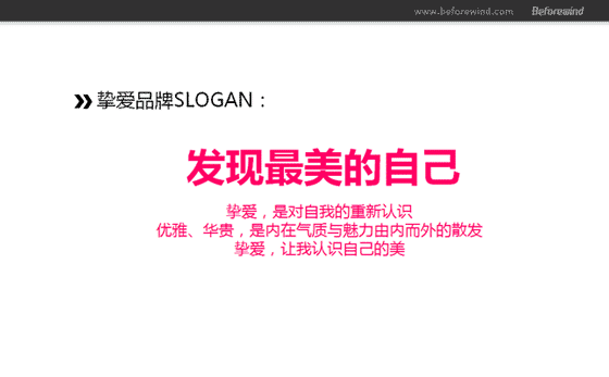 内衣策划 品牌塑造 风知力